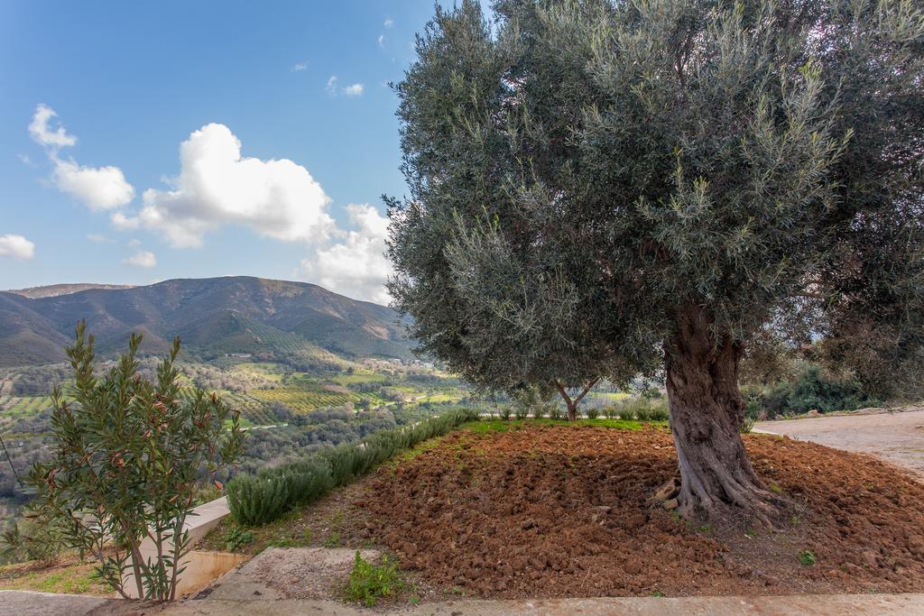 Augusta Country House Derés المظهر الخارجي الصورة