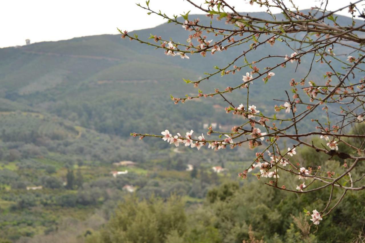 Augusta Country House Derés المظهر الخارجي الصورة